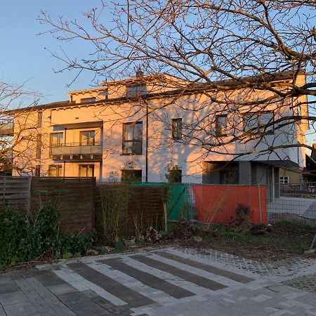 Ferienwohnung Baselblick, Eimeldingen ภายนอก รูปภาพ