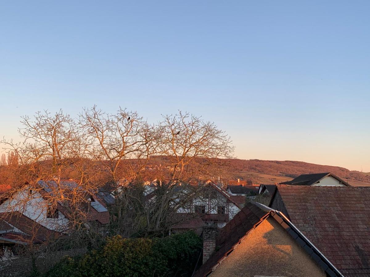 Ferienwohnung Baselblick, Eimeldingen ภายนอก รูปภาพ